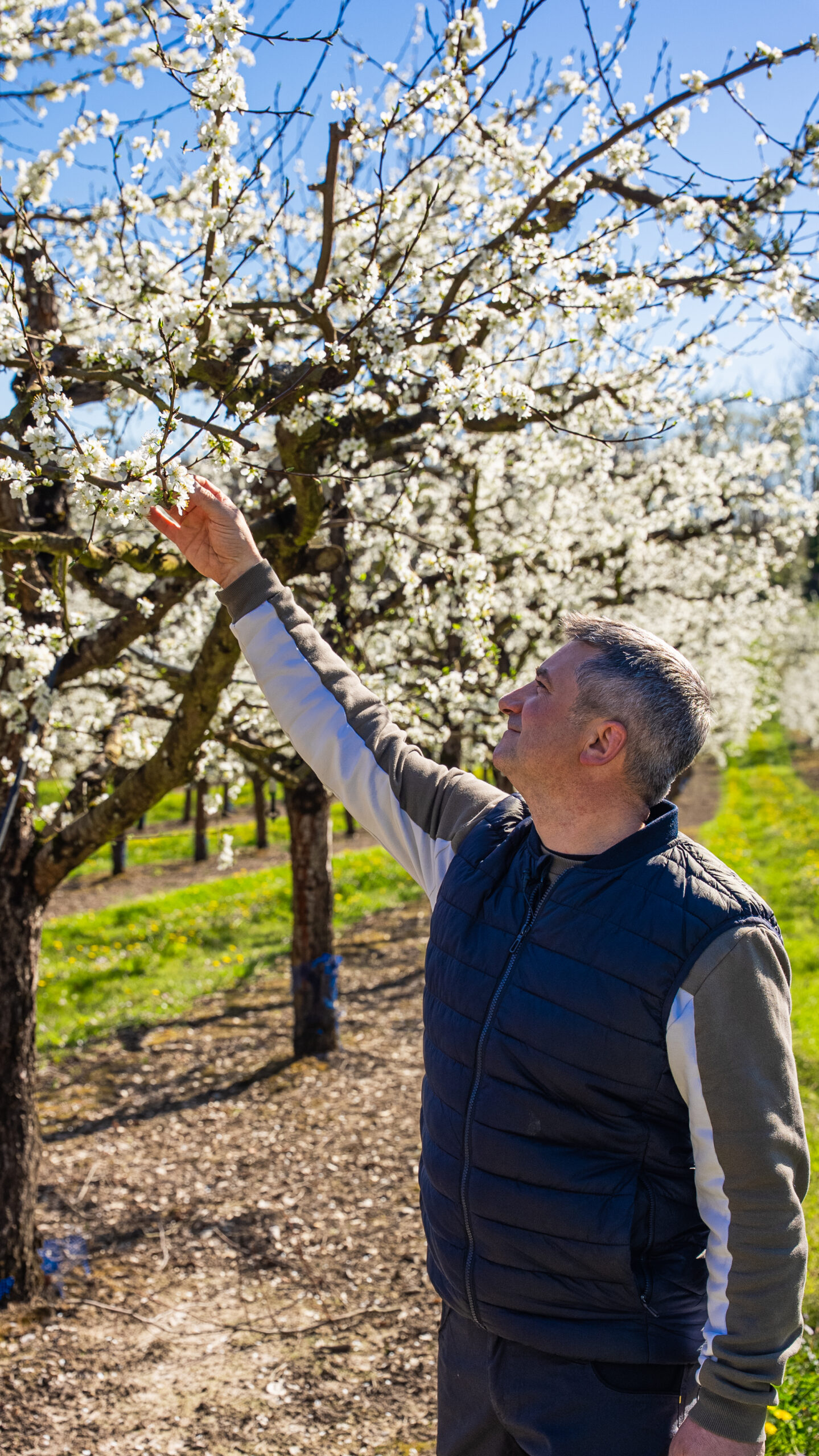 Let’s Talk About Pollination with Alexandre BELLEAU